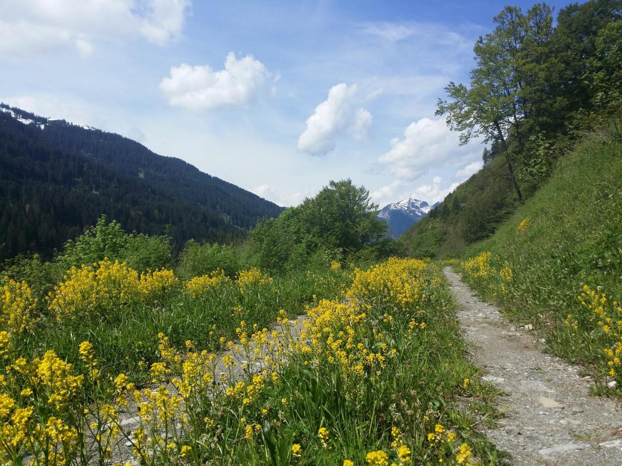 Appartements Burtscher Klosterle am Arlberg Buitenkant foto